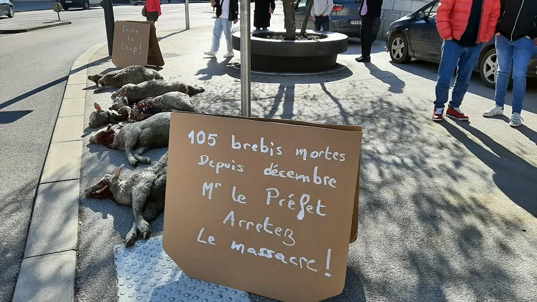 Une action coup de poing avait eu lieu en mars dernier place Darcy, à Dijon